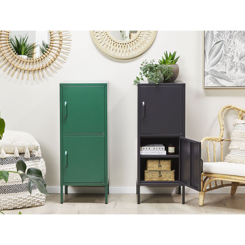 Mooresburg 2 -Door 4 -Shelf, Black
