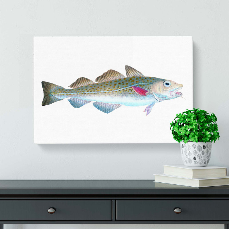 Atlantic Cod Fish by Edward Donovan - Wrapped Canvas Painting Pint - Wrapped Canvas, 40cm H x 60cm W x 3cm D