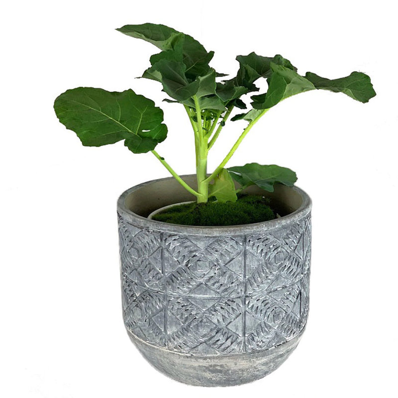 Littell Pot Planter
