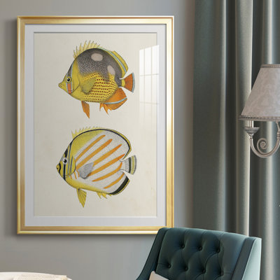 " Yellow & Grey Fish IV "