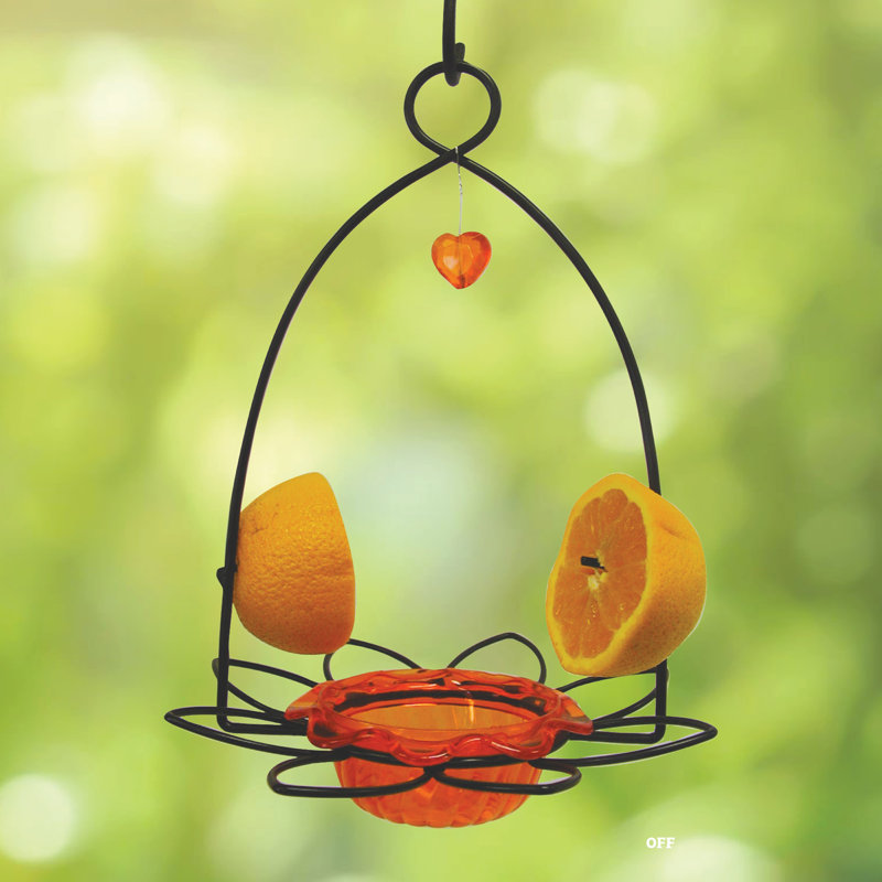 Orange and Black Polycarbonate Oriole Feeder with Heart Ornament