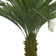 59.1'' Faux Palm Tree in Planter