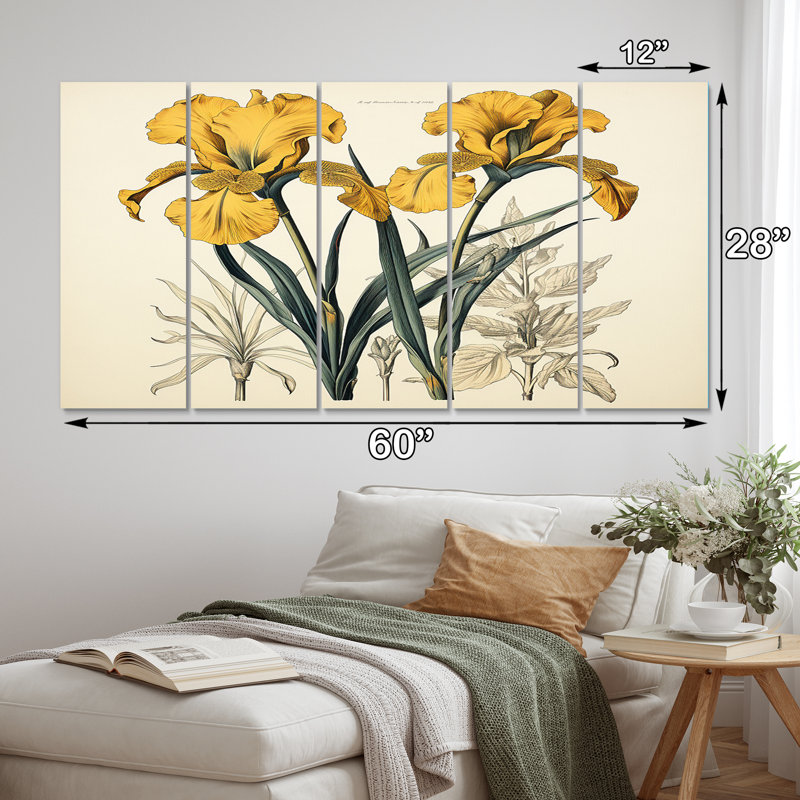 Illustration rétro - iris doré - reproduction d'art sur toile - 5 panneaux égaux