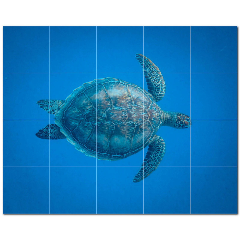 Tortue photo 6 x 6