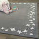 Lorccan Geometric Gray Area Rug