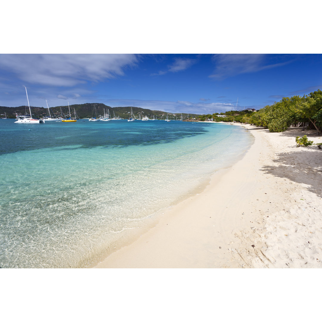 Taubenstrand - Leinwandbild