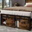 Storage Bed-1479926661