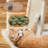 Zutphen 69'' H Cat Tree-1240930164