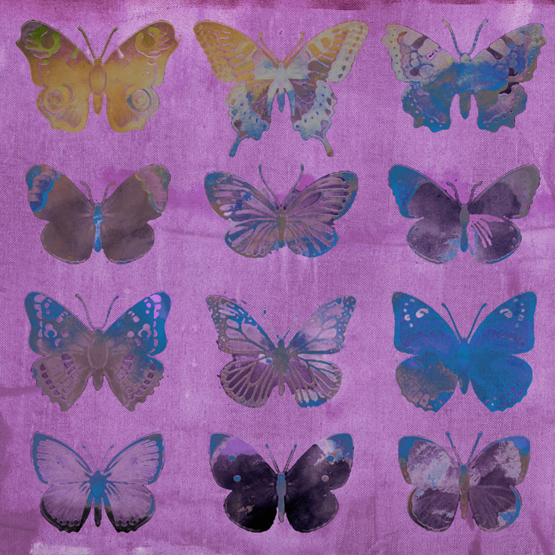 Butterflies on Magenta 1 Piece Wrapped Canvas Painting, 122cm H x 122cm W