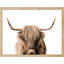 "Portrait de vache Shetland brune et blanche à deux tons" sur papier-98265845-98265847