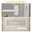 8 Pair Shoe Storage Box