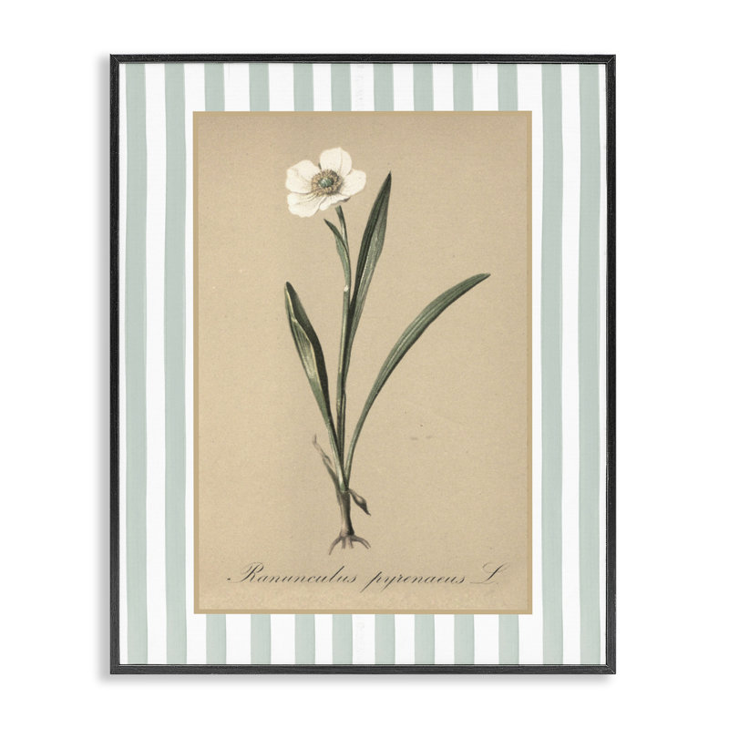 Giclée encadrée Wild Poppy avec rayures vertes, design avec lettres et doublure, H 14 po x l 11 po