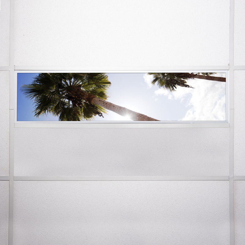 Tree Rectangle Fixture Component Ceiling Light