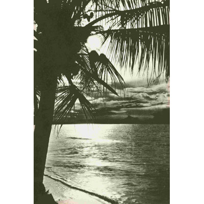 " Palm Beach II "