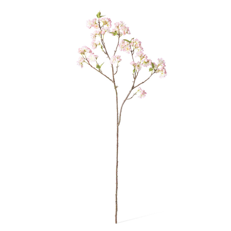 Branche de cerisier en fleurs