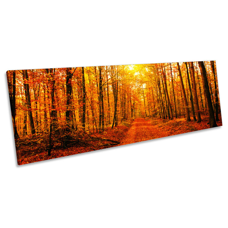 X3465 Orange Forest Trees Sunset - Wrapped Canvas Panoramic Print, 60.96cm H x 182.88cm W x 4cm D