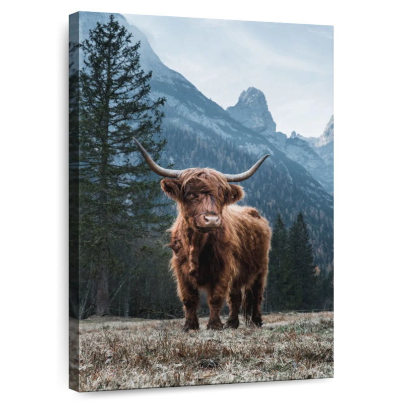 Vache Brampt, H 24 po x l 16 po