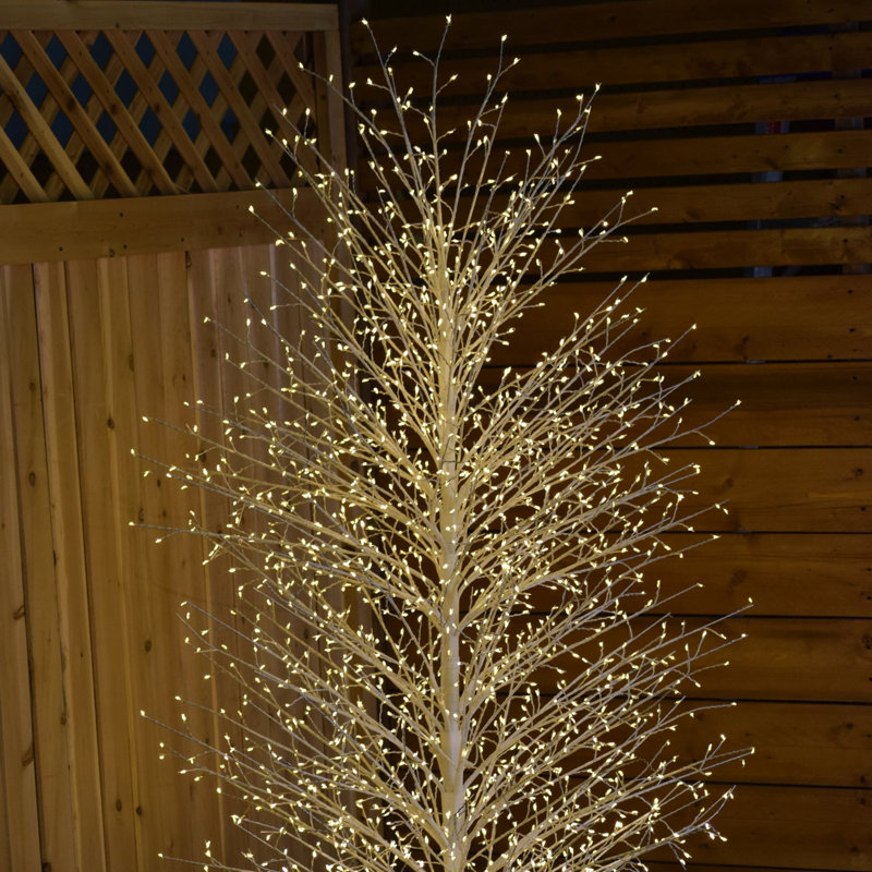 Birch Tree with Warm White LED Lights, 70.86" H x 20.8" L x 20.8" D, White
