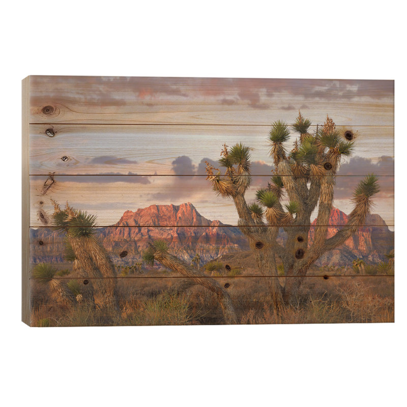 Joshua Tree et Spring Mountains à Red Rock Canyon, près de Las Vegas, Nevada, par Tim Fitzharris - non encadrée, impression sur bois