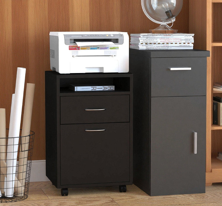 Mobile Storage Cabinet Organizer, Black
