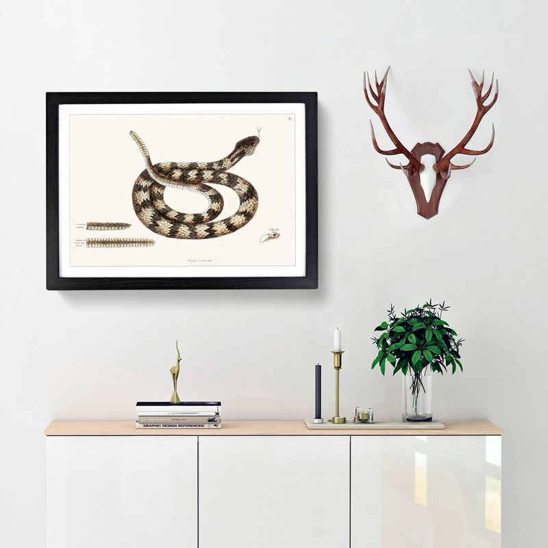 Rattlesnake by Mark Catesby - Picture Frame Painting Print, Black Framed, 36cm H x 48cm W x 2cm D