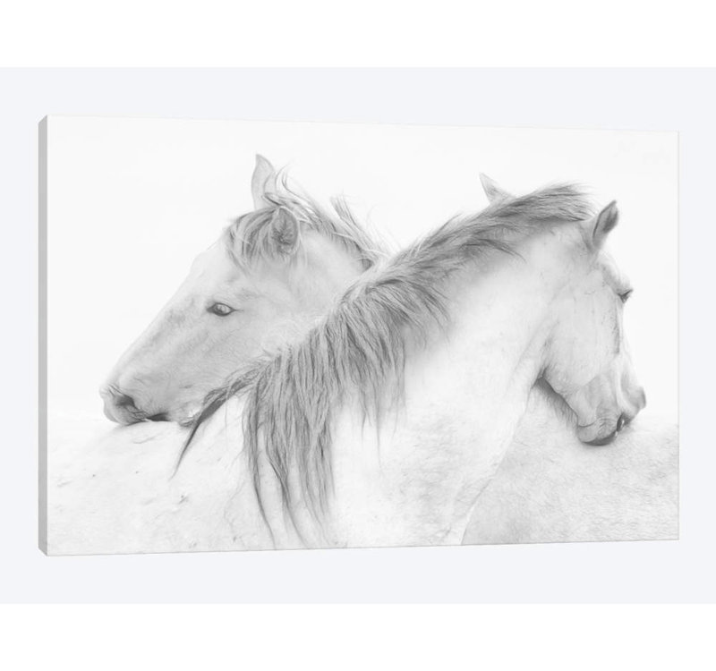 «Horses» par Marie-Anne Stas - impression sur toile tendue, H 8 po x l 12 po x P 0,75 po, Toile tendue, Pas de tapis