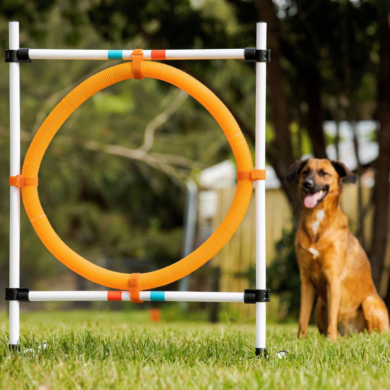 Adjustable Orange and White Dog Agility Hoop Jump