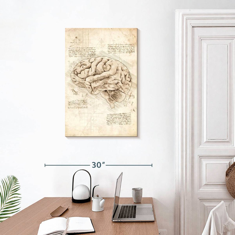 Keiri Human Brain, 30" H x 20" W