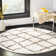 Rodgers Berber Shag Performance Abstract Rug