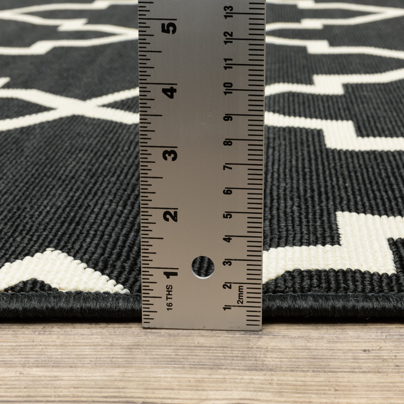 Tapis d'intérieur / extérieur Anastasaos, Rectangle 5 pi 3 po x 7 pi 6 po