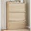 24 Pair Shoe Storage Cabinet