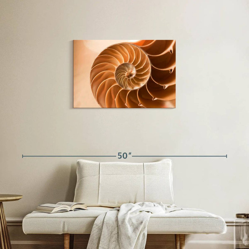 Aletra Nautilus Shell Inside, 20" H x 30" W