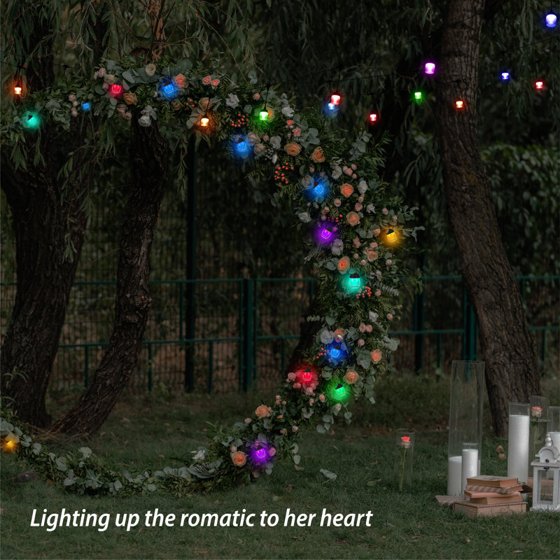 Dashonda Outdoor 12 - Bulb 4.72'' LED String Light, Multicolor