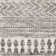 Shyann Machine Woven Oriental Gray Area Rug