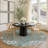 Machine Washable Indoor/Outdoor Chantille ACN2304 Casual Rug-716064108