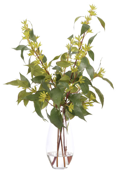 Eucalyptus, Green, Glass Vase, 23wx24dx34h