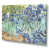 Toile tendue