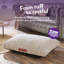 Slumberdown Paws for Slumber Machine Washable Cushioned Sherpa Pet Bed-99991759-97793374