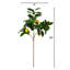 28in. Artificial Lemon Stems, Set of 3