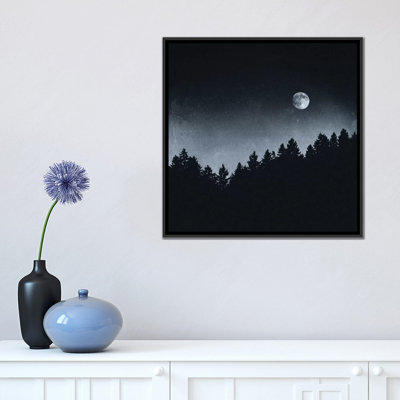 Under Moonlight Photographic Print on Wrapped Canvas