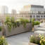 Diviseur de pots de fleurs - brun-gris