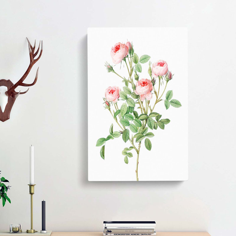 Pink Roses by Pierre-Joseph Redoute - Wall Art, 76cm H x 50cm W x 3cm D, Wrapped Canvas