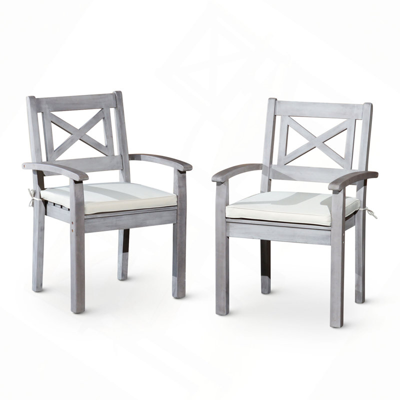 Dining Chairs Set Of 2
