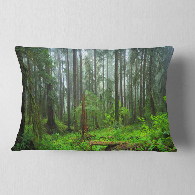 Coussin lombaire paysage forêt tropicale Hoh