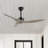Artisha 50'' Ceiling Fan-684973093