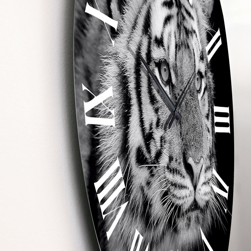 Portrait monochrome d'un tigre blanc - horloge murale traditionnelle, Moyenne