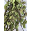 24" Handmade Spring Tea Leaf Front Door Wreath