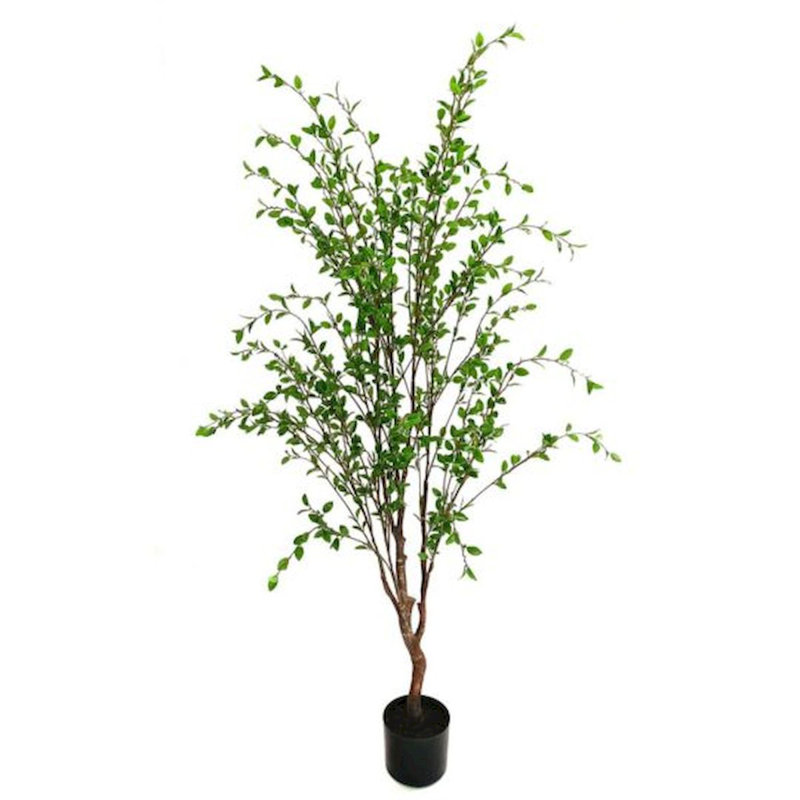 60'' Faux Foliage Tree in Planter