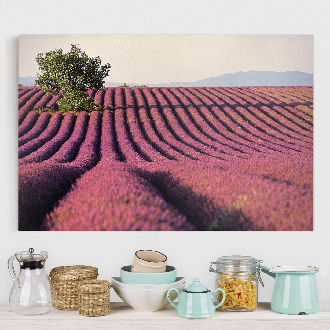 Grafikdruck Lavender