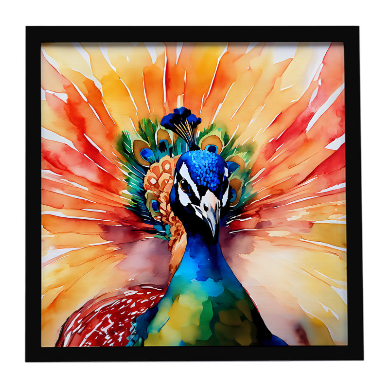 Peacock Framed Metal Print